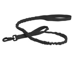 Bungee Lead